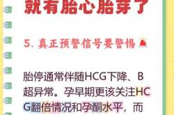 孕7周6孕反减轻正常吗