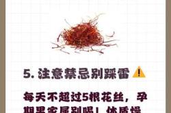 备孕的人能否喝藏红花