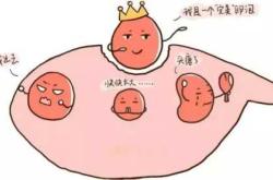 哪里有完美备孕马良坤网盘资源