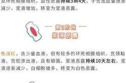 产后一个月突然又有血咋回事