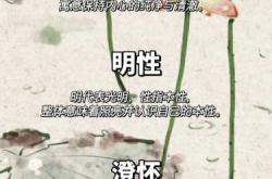 如何取适合婴儿的网名好