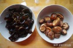 心肝备孕日常在哪在线下载