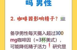 备孕可以喝少许奶茶吗