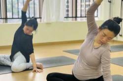 司马懿胎教版教学目标是什么