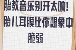 胎教听音乐几个月开始