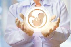 捐献骨髓对备孕有影响吗