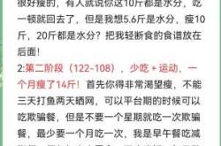 产后两个月能减肥吗