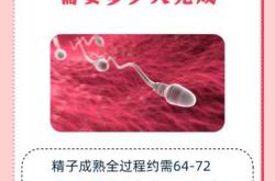 备孕同房后精子要放里面吗