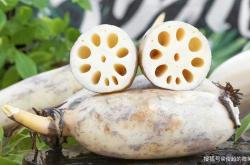 备孕梦见两只大鹅寓意着啥