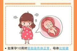 孕6周孕反停止正常吗