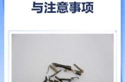 备孕期间能吃穿心莲吗