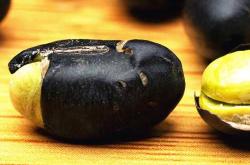 备孕与吃黑豆有何关系