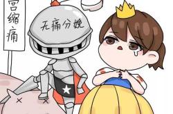 南宁猫咪剖腹产有啥注意事项