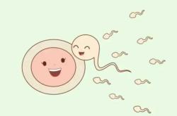 女孩备孕多久才怀上