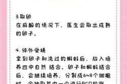 二代试管婴儿有哪些利弊