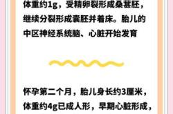九个月婴儿发育标准是什么
