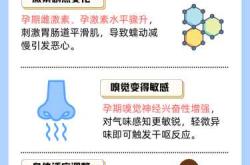 孕反吃饱就恶心怎么办