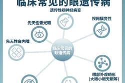 怎么备孕能获得双胞胎基因