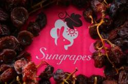 月子里能不能吃葡萄干