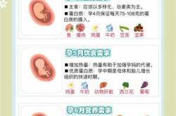 备孕前吃什么补胎儿神经