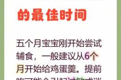 十五个月的宝宝辅食怎么吃