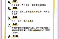 备孕女性吃什么东西好