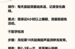 备孕不用等排卵期嘛