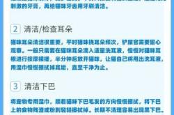 猫产后如何进行清理工作