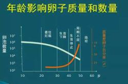 试管婴儿有哪些成功例子