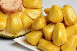 流产后能不能吃菠萝蜜