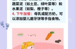 七个月婴儿食谱怎么做