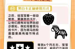 新生儿出生多久可以看黑白卡