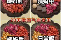 来月经开始喝中药能备孕吗