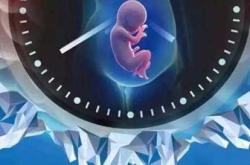 试管婴儿技术的应用有严格的医学指征和法律规定，必须在具备资质的正规医疗机构进行，切勿因追求低价而忽视医疗安全和合法性。建议通过正规渠道咨询专业医生，了解相关信息。