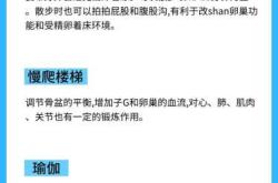 男生备孕没运动该怎么办