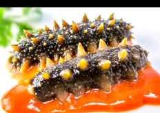 月子里产妇能吃海参吗