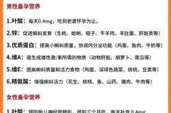 如何提高备孕成功率