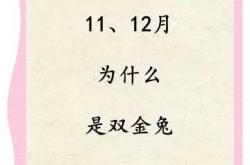 属兔的孩子几月备孕