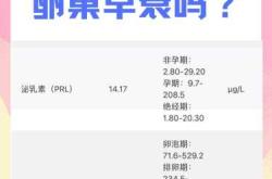 备孕女性体内有雌激素吗