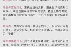 40岁备孕更容易受孕吗
