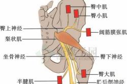 产后出现弹响髋是怎么回事