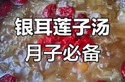 月子可以吃莲子吗