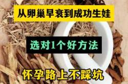 备孕吃什么补卵巢最好