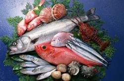 备孕的男性可以吃猫肉吗