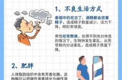 男性备孕哪段时间重要呢