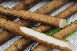 产后适合吃牛蒡吗