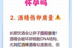 少量饮酒对男备孕有影响吗