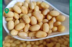 月子期可以喝豆浆吗