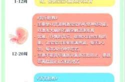 胎教从几周开始合适
