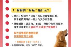 母狗产后多少天能洗澡